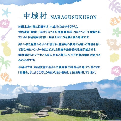 沖縄ホーメル フランキーボーイ 計1,170g(6袋×195g)【配送不可地域：離島】