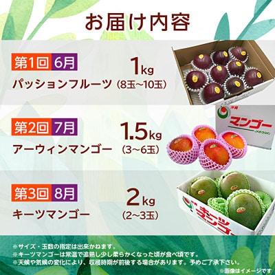 【発送月固定定期便】2026年発送 JAおきなわが厳選する南国フルーツ定期便全3回【配送不可地域：離島】
