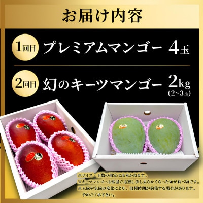 【発送月固定定期便】2026年発送 JAおきなわ厳選のプレミアムフルーツ定期便全2回【配送不可地域：離島】