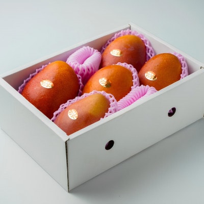 【2026年6月下旬から順次発送・家庭用】護佐丸マンゴー2.0kg(4～6玉)【配送不可地域：離島】