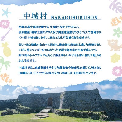 沖縄ホーメル フランクフルトソーセージ 4000g(200g×20P)【配送不可地域：離島】