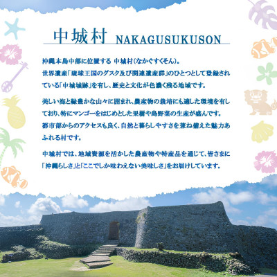 【焼物・やちむん】手作り 伝統工芸品 小立シーサー