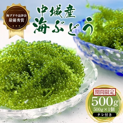 【沖縄から産地直送】県産海ぶどう品評会最優秀賞受賞!ちゅら海ぶどう500g×1箱