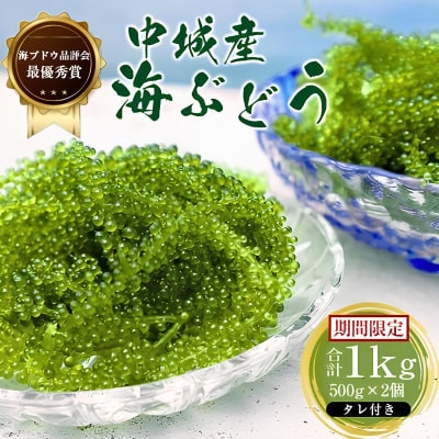 【沖縄から産地直送】県産海ぶどう品評会最優秀賞受賞!ちゅら海ぶどう1kg(500g×2箱)