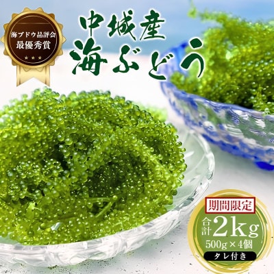 【沖縄から産地直送】県産海ぶどう品評会最優秀賞受賞!ちゅら海ぶどう2kg(500g×4箱)