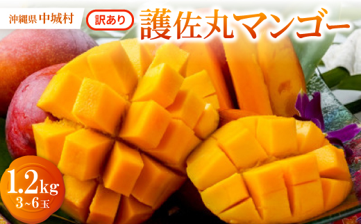 【2027年6月から順次発送・訳あり】護佐丸マンゴー1.2kg(3～6玉)【配送不可地域：離島】