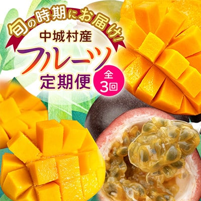 【発送月固定定期便】2026年発送 JAおきなわが厳選する南国フルーツ定期便全3回【配送不可地域：離島】