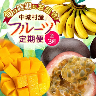 【発送月固定定期便】JAおきなわ厳選フルーツセット(パッションフルーツ・マンゴー・島バナナ)全3回【配送不可地域：離島】