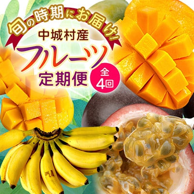 【発送月固定定期便】JAおきなわ厳選!季節の南国フルーツ全4回【配送不可地域：離島】