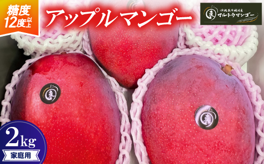 【2026年6月下旬から順次発送】マルトウマンゴーの家庭用アップルマンゴー2kg【配送不可地域：離島】