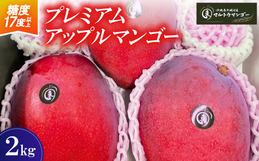 【2026年6月下旬から順次発送】マルトウマンゴーのプレミアム アップルマンゴー2kg【配送不可地域：離島】