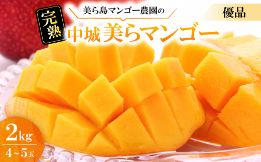 【2026年6月から順次発送・白箱】美ら島マンゴー農園の完熟中城美らマンゴー優品2kg(4～5玉)【配送不可地域：離島】