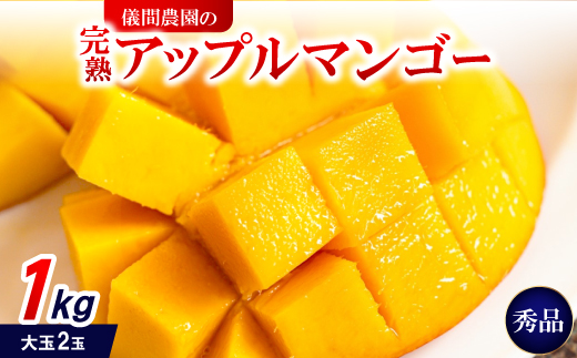 【2026年6月下旬から順次発送・贈答用】儀間農園の完熟アップルマンゴー 秀品1kg(大玉2玉)【配送不可地域：離島】