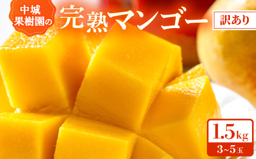 【2026年7月から順次発送・白箱】中城果樹園の完熟アップルマンゴー 訳あり1.5kg(3～5玉)【配送不可地域：離島】