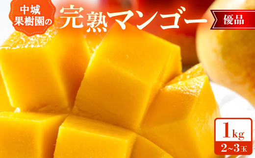 【2026年7月から順次発送・化粧箱】中城果樹園の完熟マンゴー 優品1.0kg(2～3玉)【配送不可地域：離島】