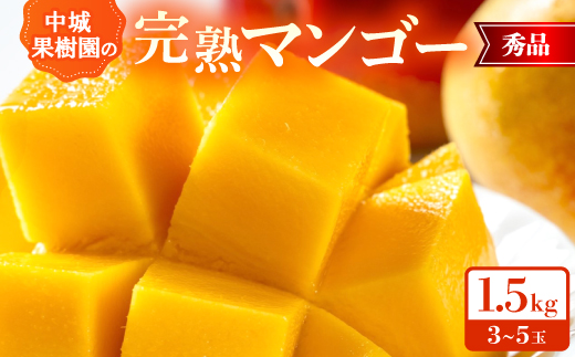 【2026年7月から順次発送・化粧箱】中城果樹園の完熟マンゴー 秀品1.5kg(3～5玉)【配送不可地域：離島】