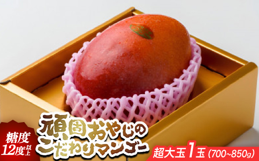 【2026年発送・糖度12度以上保証】頑固おやじのこだわりマンゴー超大玉1玉(700g～850g)【配送不可地域：離島】