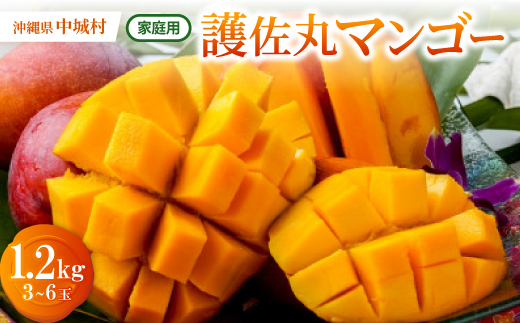 【2026年6月下旬から順次発送・訳あり】護佐丸マンゴー1.2kg(3～6玉)【配送不可地域：離島】