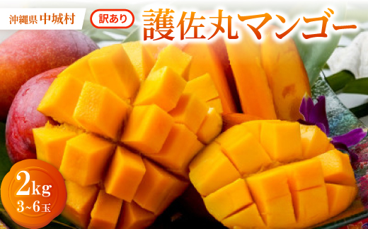 【2026年6月下旬から順次発送・訳あり】護佐丸マンゴー2.0kg(3～6玉)【配送不可地域：離島】