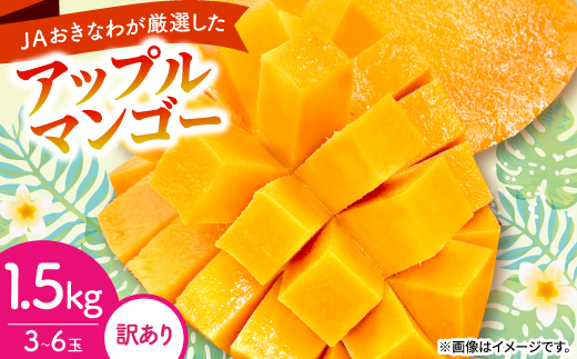 【2026年6月から順次発送・訳あり】アップルマンゴー1.5kg(3～6玉)【配送不可地域：離島】