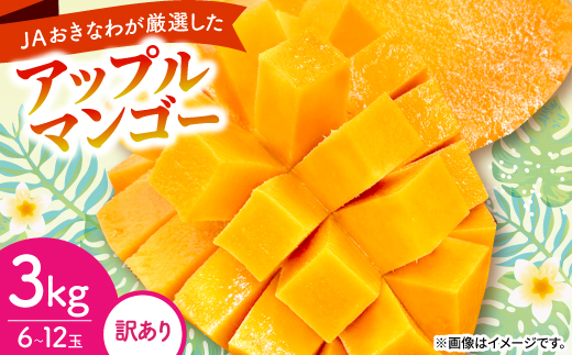 【2026年6月から順次発送・訳あり】アップルマンゴー3.0kg(6～12玉)【配送不可地域：離島】