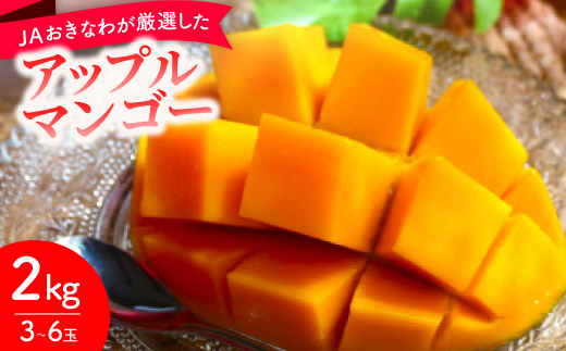 【2026年6月から順次発送・化粧箱】JAおきなわが厳選したアップルマンゴー2kg(3～6玉)【配送不可地域：離島】