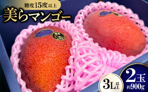 【2026年6月から順次発送・数量限定】糖度15度以上を選別した「美らマンゴー」約900g(2玉)【配送不可地域：離島】