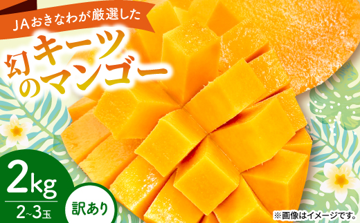 【2026年8月から順次発送・訳あり】JAおきなわ厳選した幻のキーツマンゴー2kg(2～3玉)【配送不可地域：離島】