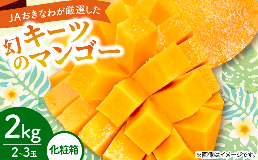 【2026年8月から順次発送・化粧箱】JAおきなわ厳選した幻のキーツマンゴー2kg(2～3玉)【配送不可地域：離島】