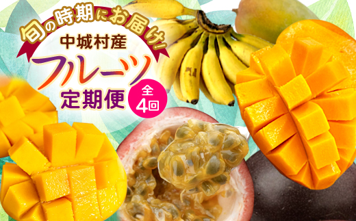 【発送月固定定期便】JAおきなわ厳選!季節の南国フルーツ全4回【配送不可地域：離島】