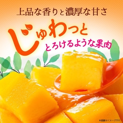 【2026年6月から順次発送・訳あり】アップルマンゴー3.0kg(6～12玉)【配送不可地域：離島】