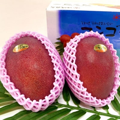 【2026年6月から順次発送・化粧箱】JA厳選のアップルマンゴー1kg(2～3玉)【配送不可地域：離島】