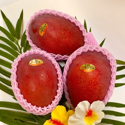 【2026年6月から順次発送・化粧箱】JA厳選のアップルマンゴー2kg(3～6玉)【配送不可地域：離島】