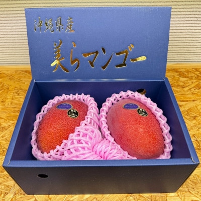 【2026年6月から順次発送・数量限定】糖度15度以上を選別した「美らマンゴー」2玉(約900g)【配送不可地域：離島】