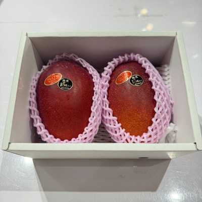 【2026年6月から順次発送】糖度15度以上!JAおきなわが厳正したプレミアムマンゴー2玉【配送不可地域：離島】