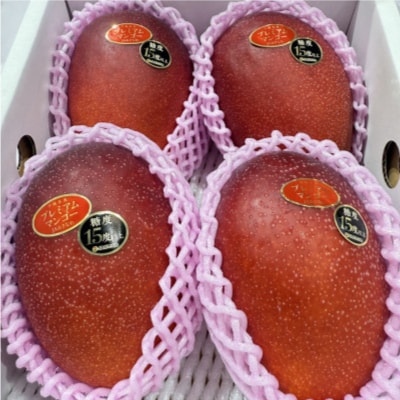 【2026年6月から順次発送】糖度15度以上!JAおきなわが厳正したプレミアムマンゴー4玉【配送不可地域：離島】