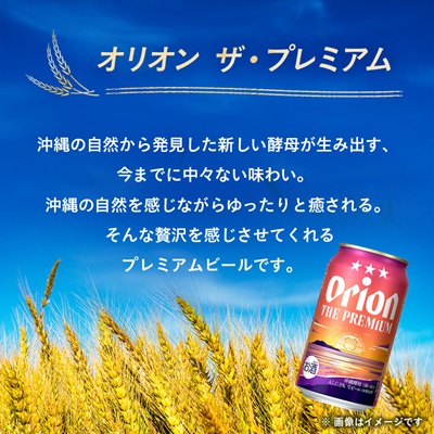 【毎月定期便】オリオンビール オリオン ザ・プレミアム(350ml×24本)全3回