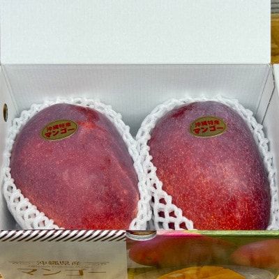 【2026年6月から順次発送・化粧箱】JA厳選のアップルマンゴー1kg(2～3玉)【配送不可地域：離島】