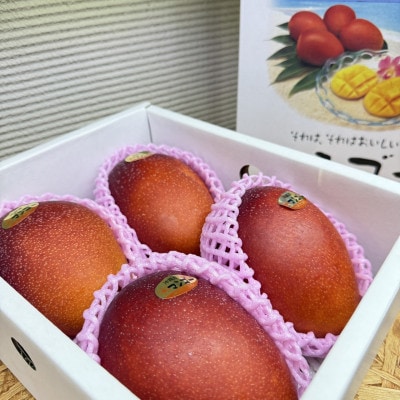 【2026年6月から順次発送・化粧箱】JA厳選のアップルマンゴー2kg(3～6玉)【配送不可地域：離島】