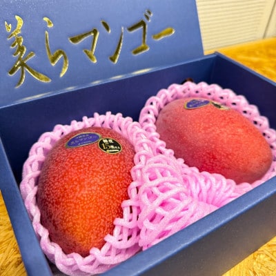 【2026年6月から順次発送・数量限定】糖度15度以上を選別した「美らマンゴー」2玉(約900g)【配送不可地域：離島】