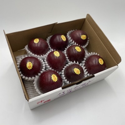 【2026年5月から順次発送・贈答用】パッションフルーツ1.0kg