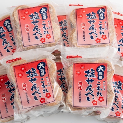 大容量 こわれ塩せんべい 梅味(16枚×12袋入り)