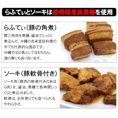 沖縄そば食べ比べ10食セット(沖縄そば5食・八重山そば5食)