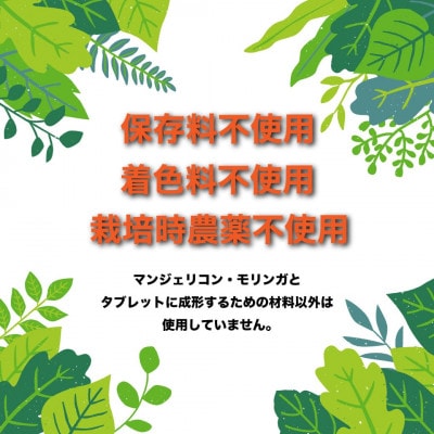 RESCUEマンジェリコンタブレット[モリンガ配合](250mg×90粒)