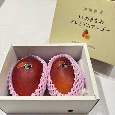 【2026年6月から順次発送】糖度15度以上!JAおきなわが厳正したプレミアムマンゴー2玉【配送不可地域：離島】