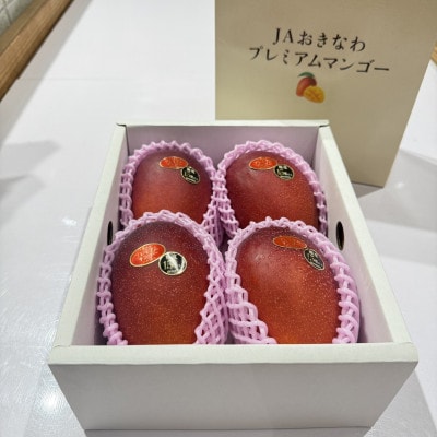 【2026年6月から順次発送】糖度15度以上!JAおきなわが厳正したプレミアムマンゴー4玉【配送不可地域：離島】