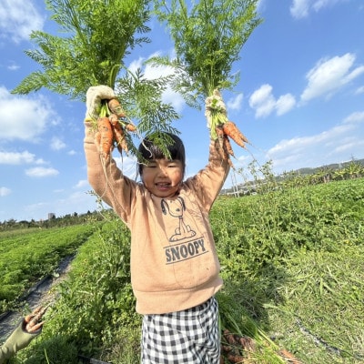 有機JAS認証農園で楽しむ!小橋川ファーム野菜の収穫体験3名様