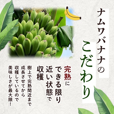 西原町の栽培期間中農薬不使用のナムワバナナ2kg