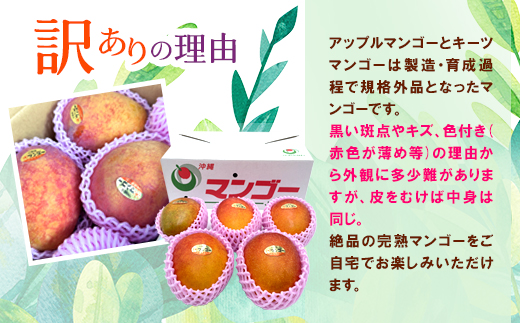 【発送月固定定期便】JAおきなわ厳選フルーツセット(パッションフルーツ・マンゴー・島バナナ)全3回【配送不可地域：離島】