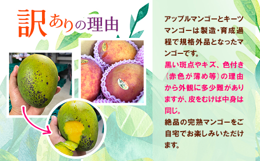 【発送月固定定期便】JAおきなわ厳選!季節の南国フルーツ 西原町の旬の味覚をお届け全4回【配送不可地域：離島】